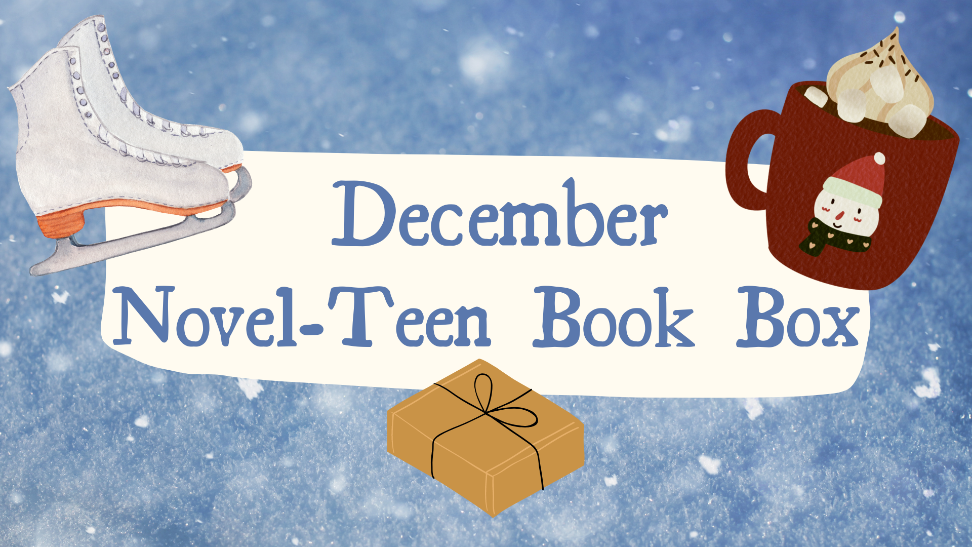 December Novel-Teen Book Box