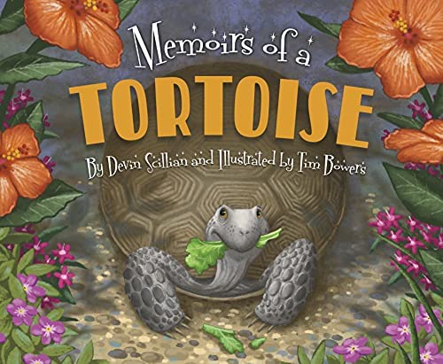 Memoirs of a Tortoise book cover