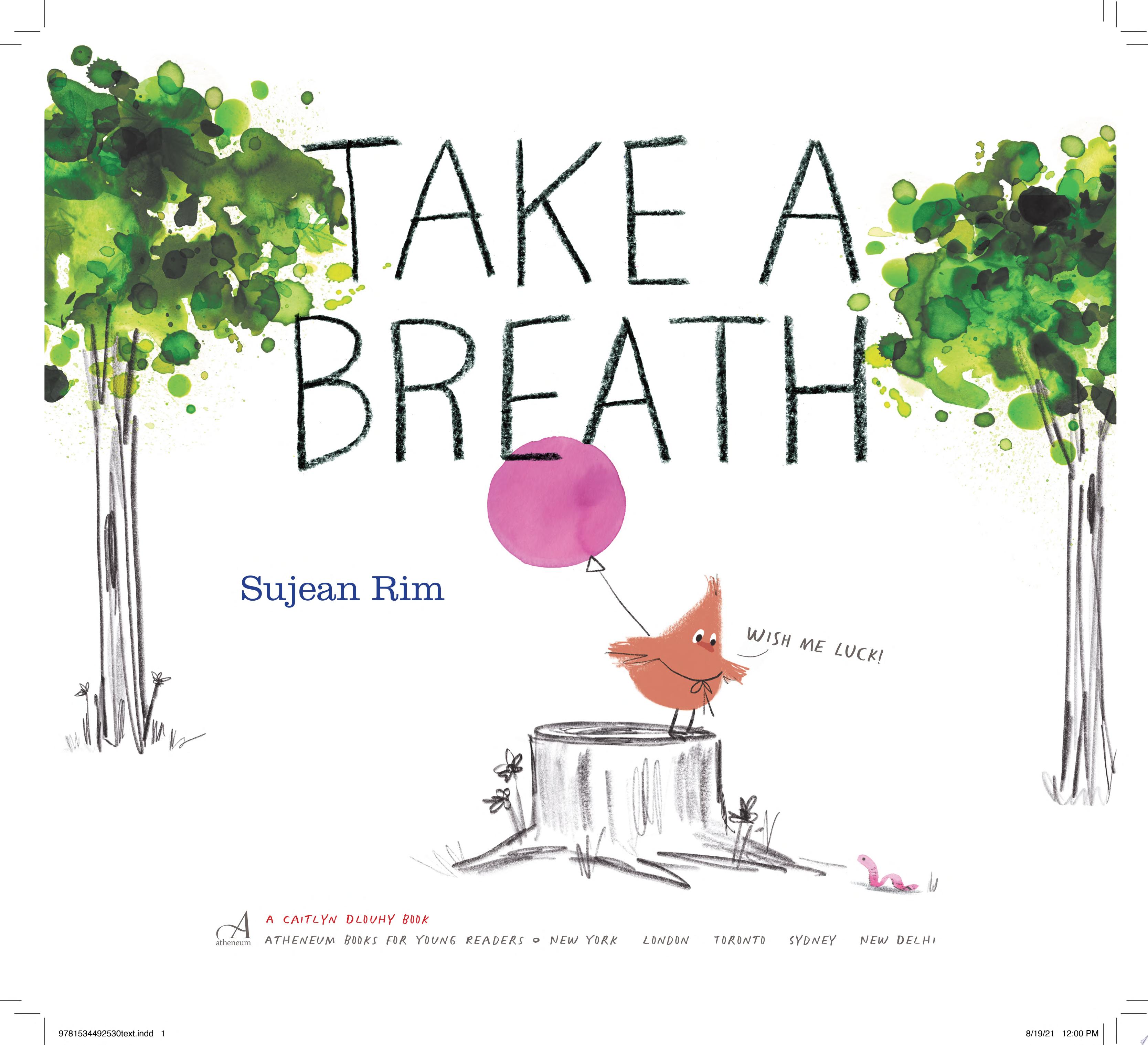 Image for "Take a Breath"