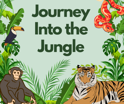 Journey Into the Jungle