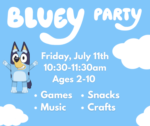 Bluey Party