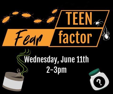 Teen Fear Factor. Wednesday, June 11th 2-3pm.