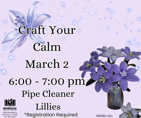 Craft Your Calm, Monday, March 2, 6 pm to 7 pm, Pipe Cleaner Lilies. Registration Required.